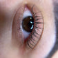 Private Lash Lift Training
