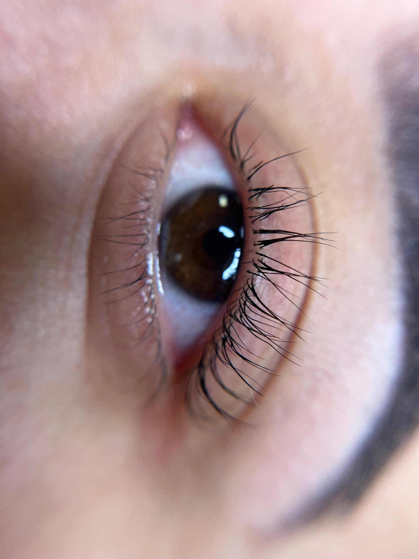 Private Lash Lift Training